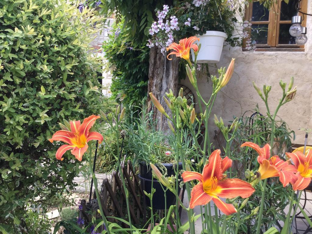 Le Clos De Fernande Corcelles-les-Arts Exterior photo